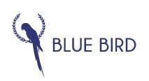 BLUE BIRD SHOES